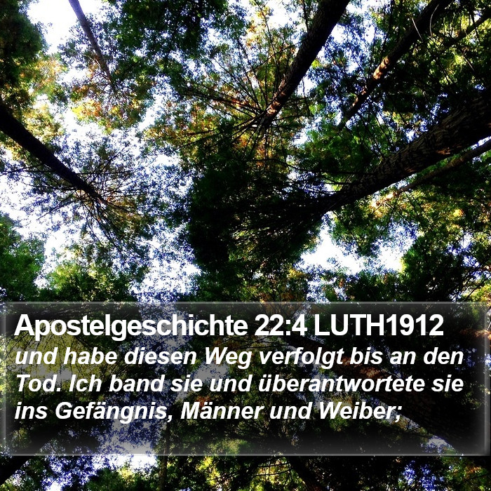 Apostelgeschichte 22:4 LUTH1912 Bible Study