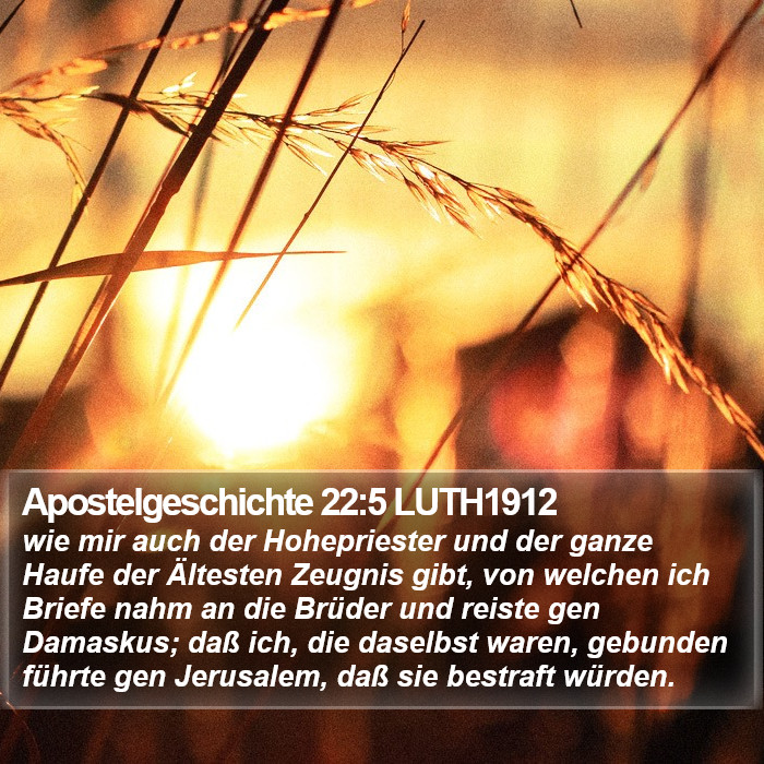 Apostelgeschichte 22:5 LUTH1912 Bible Study