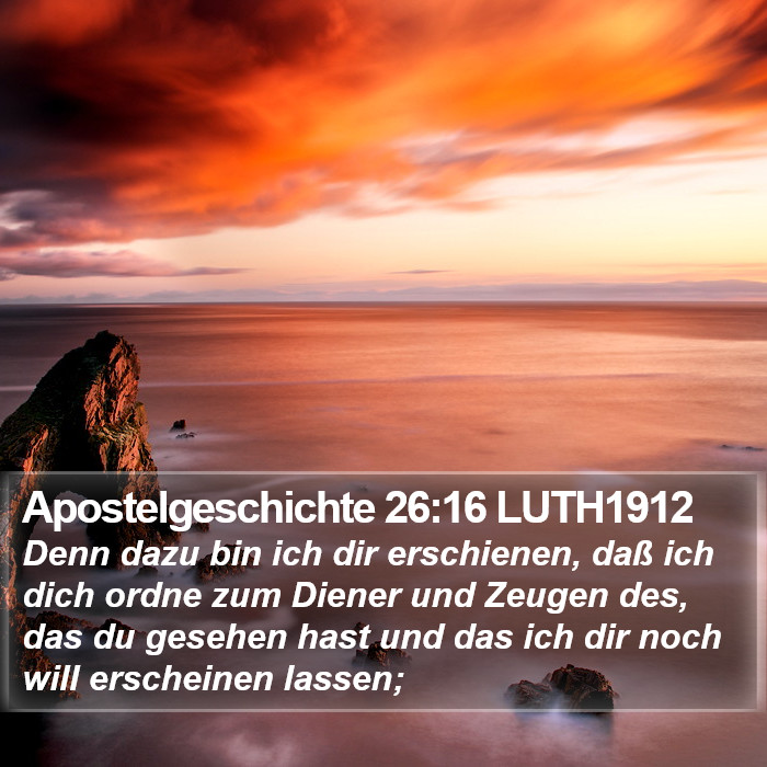 Apostelgeschichte 26:16 LUTH1912 Bible Study