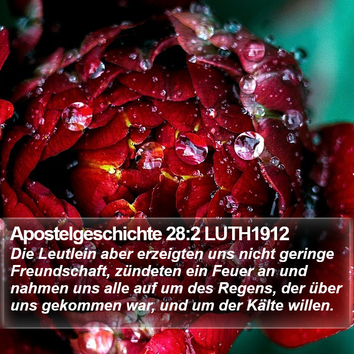 Apostelgeschichte 28:2 LUTH1912 Bible Study