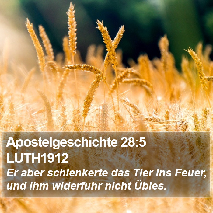 Apostelgeschichte 28:5 LUTH1912 Bible Study