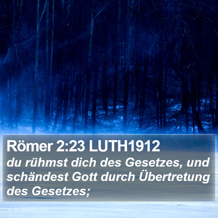 Römer 2:23 LUTH1912 Bible Study
