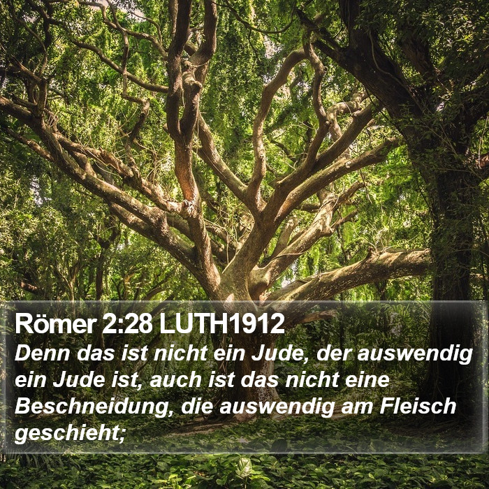 Römer 2:28 LUTH1912 Bible Study