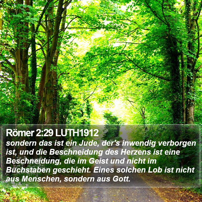 Römer 2:29 LUTH1912 Bible Study