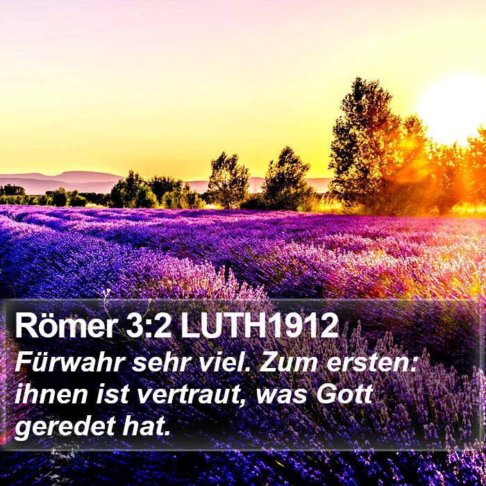 Römer 3:2 LUTH1912 Bible Study