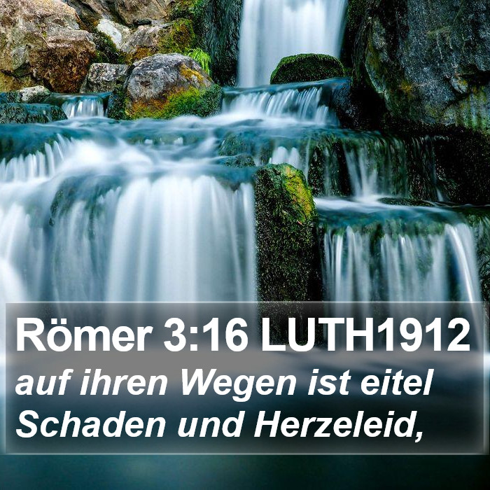 Römer 3:16 LUTH1912 Bible Study