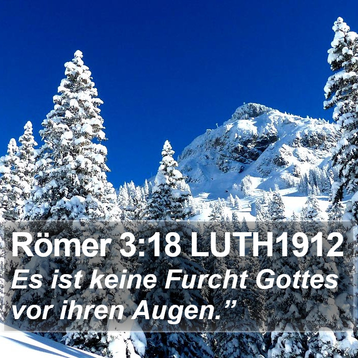 Römer 3:18 LUTH1912 Bible Study