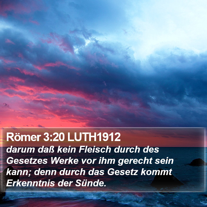 Römer 3:20 LUTH1912 Bible Study