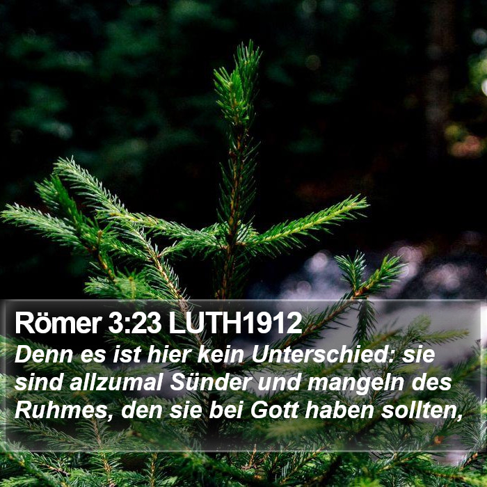 Römer 3:23 LUTH1912 Bible Study