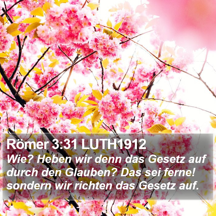 Römer 3:31 LUTH1912 Bible Study