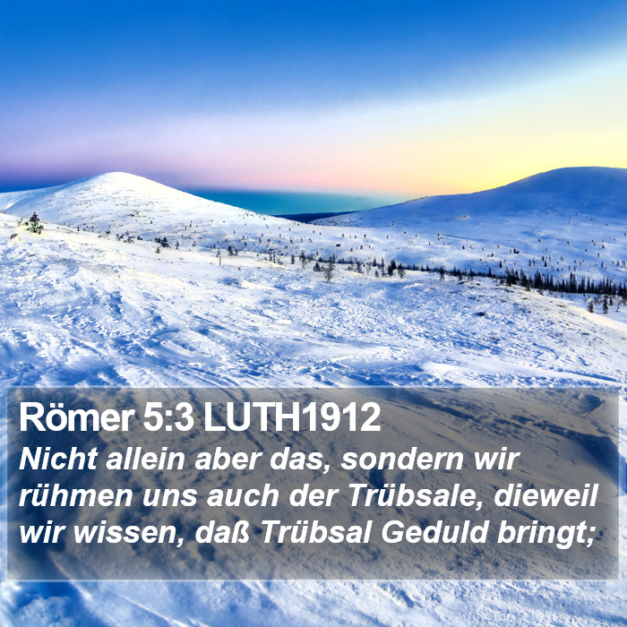 Römer 5:3 LUTH1912 Bible Study
