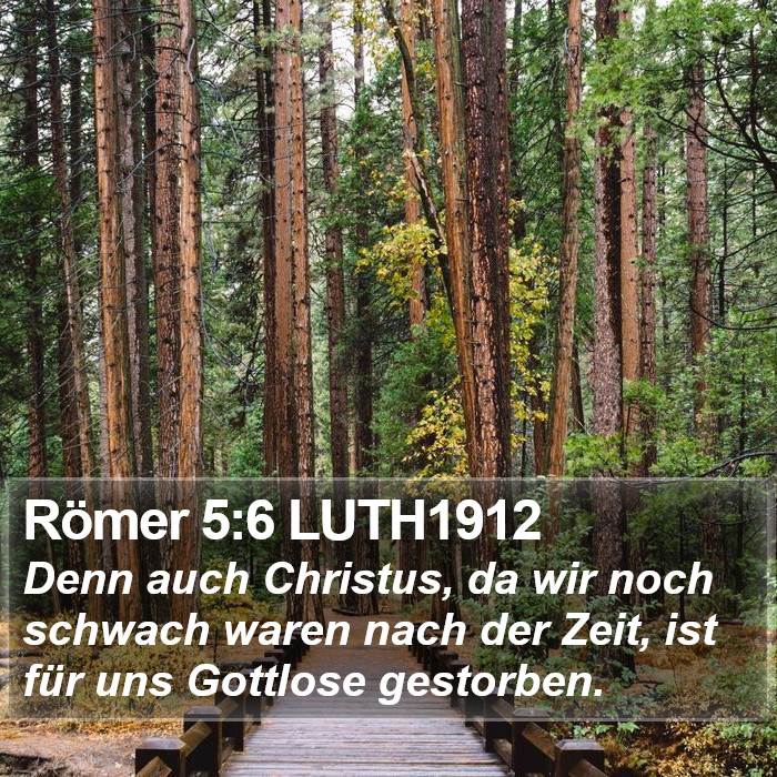 Römer 5:6 LUTH1912 Bible Study