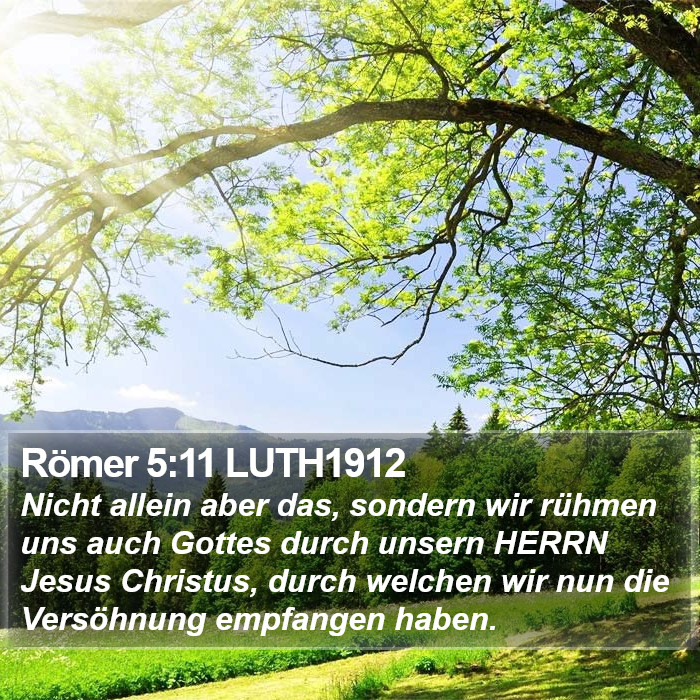 Römer 5:11 LUTH1912 Bible Study