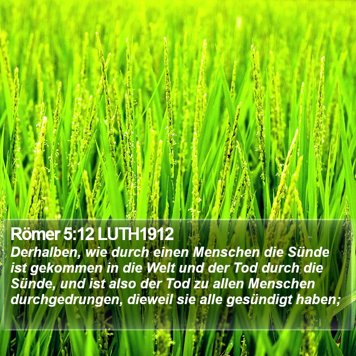 Römer 5:12 LUTH1912 Bible Study