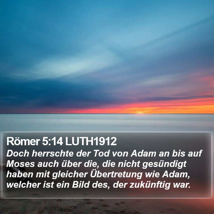 Römer 5:14 LUTH1912 Bible Study