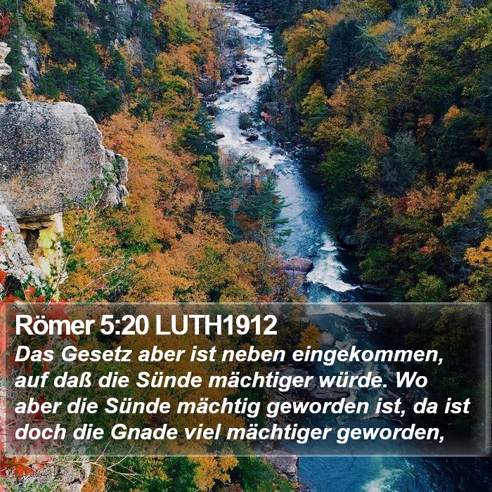 Römer 5:20 LUTH1912 Bible Study