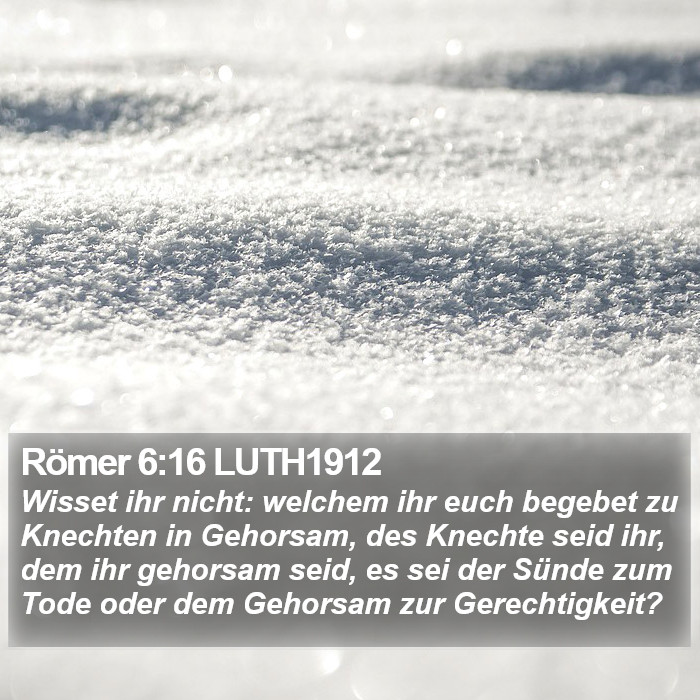 Römer 6:16 LUTH1912 Bible Study
