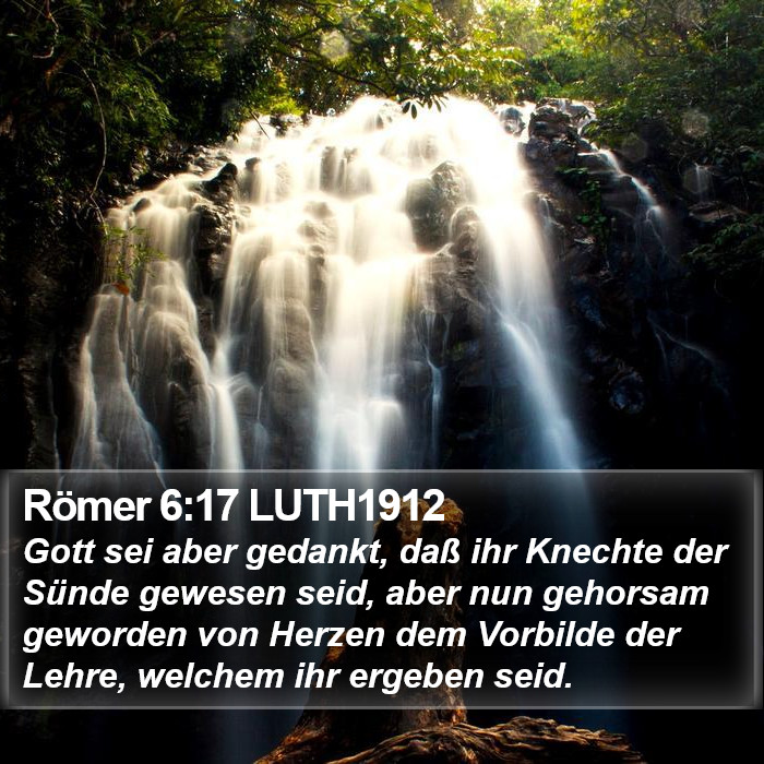 Römer 6:17 LUTH1912 Bible Study