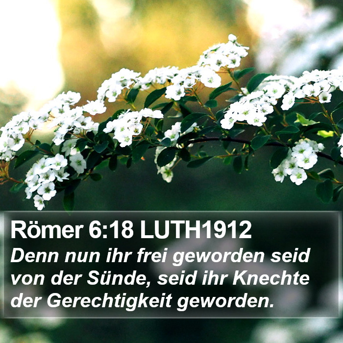 Römer 6:18 LUTH1912 Bible Study