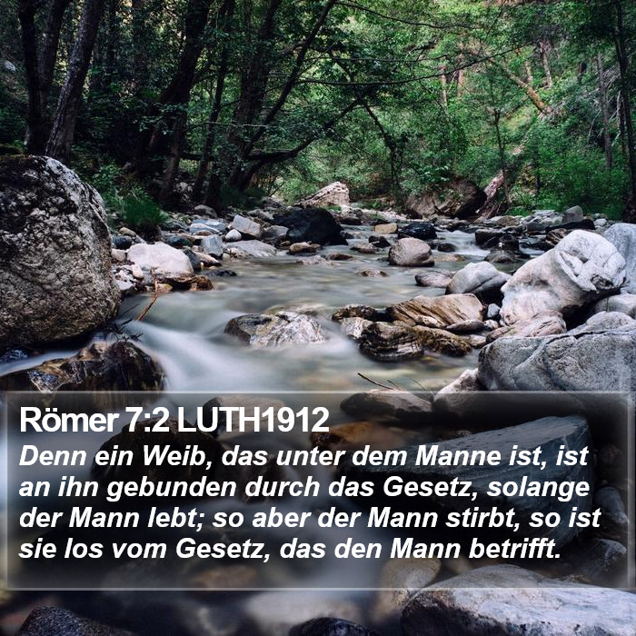 Römer 7:2 LUTH1912 Bible Study