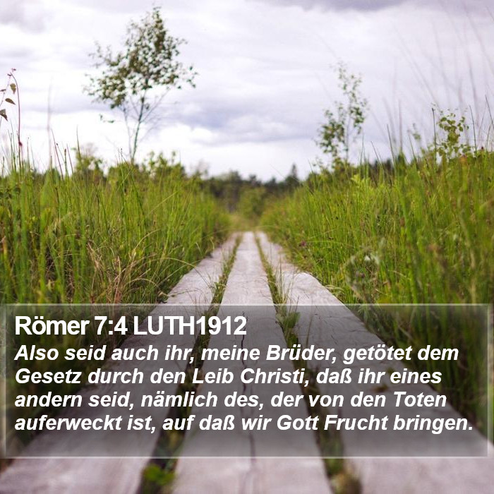 Römer 7:4 LUTH1912 Bible Study