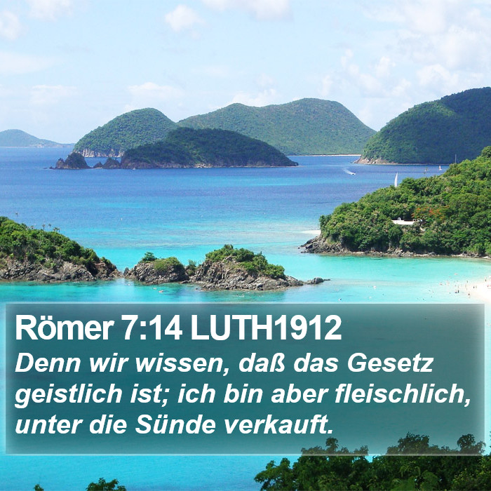 Römer 7:14 LUTH1912 Bible Study