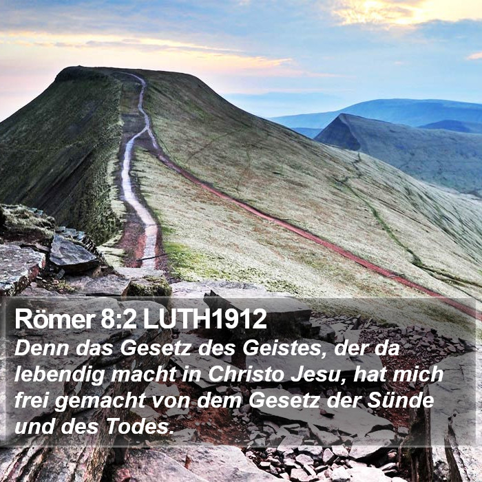 Römer 8:2 LUTH1912 Bible Study