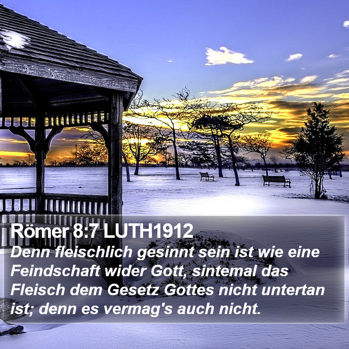 Römer 8:7 LUTH1912 Bible Study