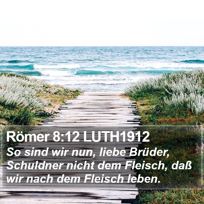 Römer 8:12 LUTH1912 Bible Study