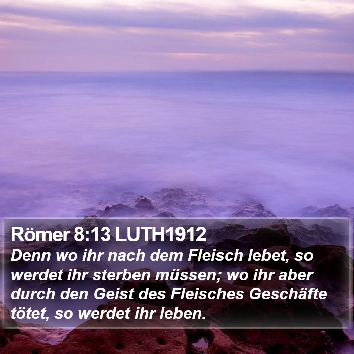 Römer 8:13 LUTH1912 Bible Study