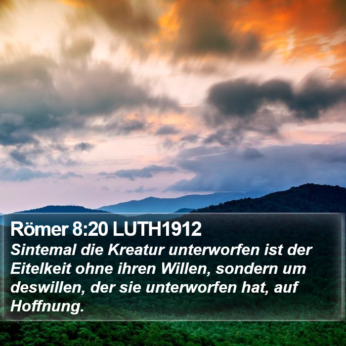 Römer 8:20 LUTH1912 Bible Study