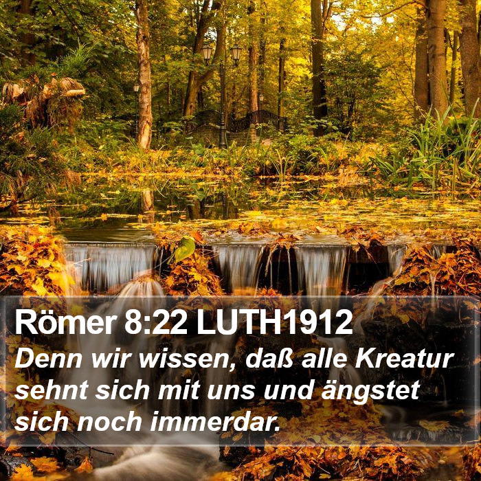 Römer 8:22 LUTH1912 Bible Study
