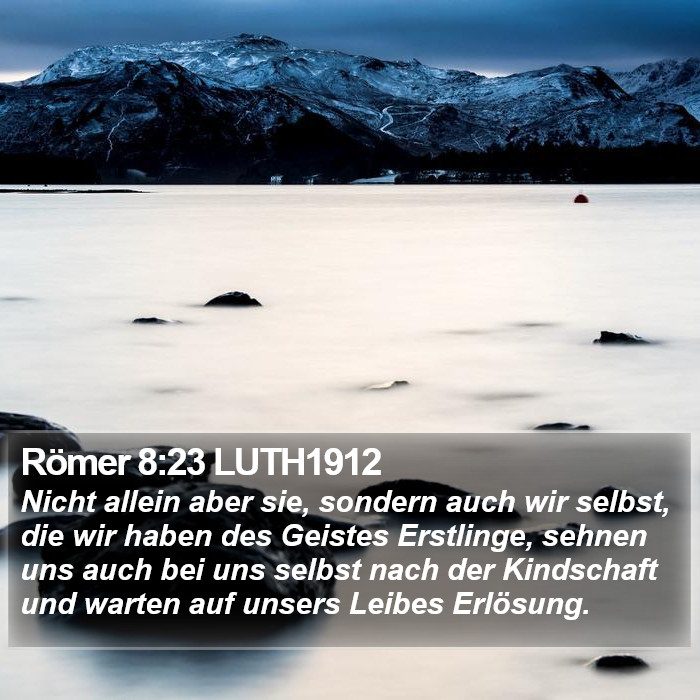 Römer 8:23 LUTH1912 Bible Study