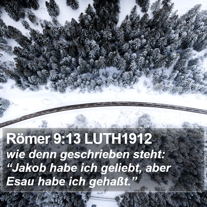 Römer 9:13 LUTH1912 Bible Study