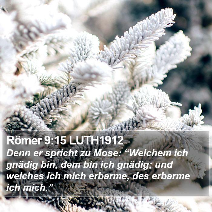 Römer 9:15 LUTH1912 Bible Study