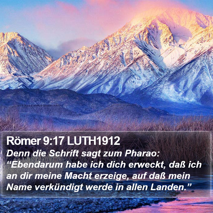 Römer 9:17 LUTH1912 Bible Study