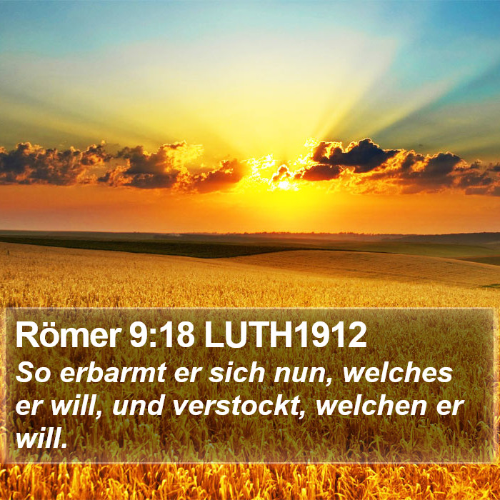 Römer 9:18 LUTH1912 Bible Study