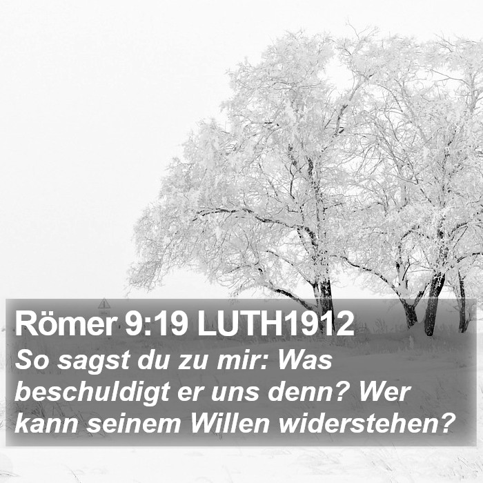 Römer 9:19 LUTH1912 Bible Study