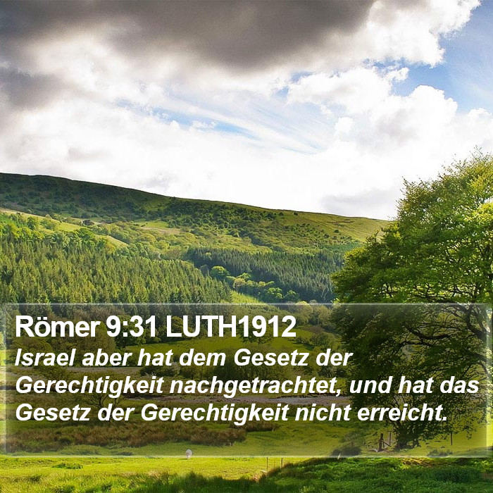 Römer 9:31 LUTH1912 Bible Study