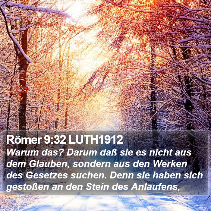 Römer 9:32 LUTH1912 Bible Study