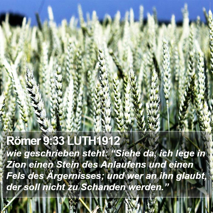 Römer 9:33 LUTH1912 Bible Study
