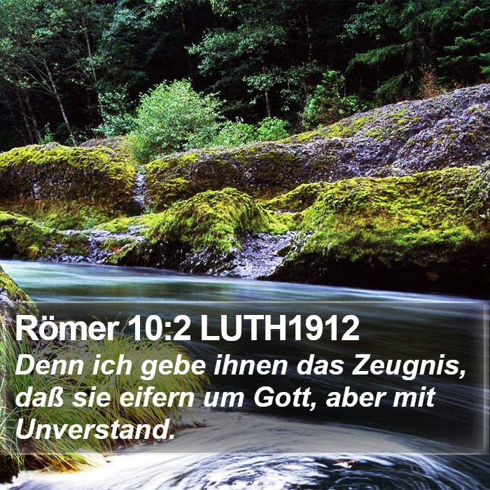 Römer 10:2 LUTH1912 Bible Study