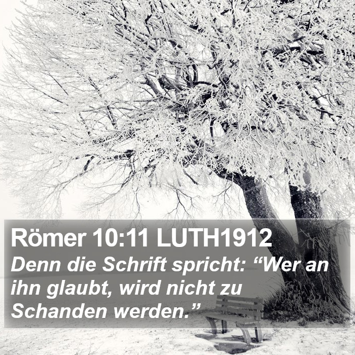 Römer 10:11 LUTH1912 Bible Study