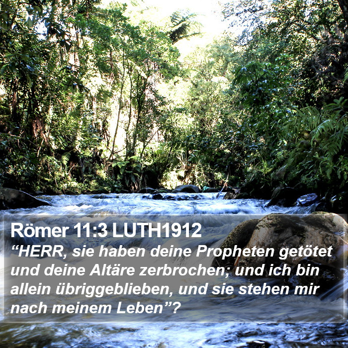 Römer 11:3 LUTH1912 Bible Study
