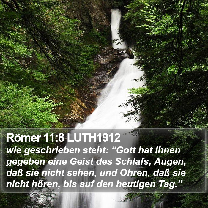 Römer 11:8 LUTH1912 Bible Study
