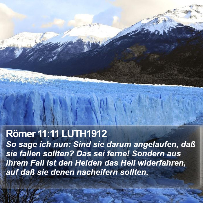 Römer 11:11 LUTH1912 Bible Study