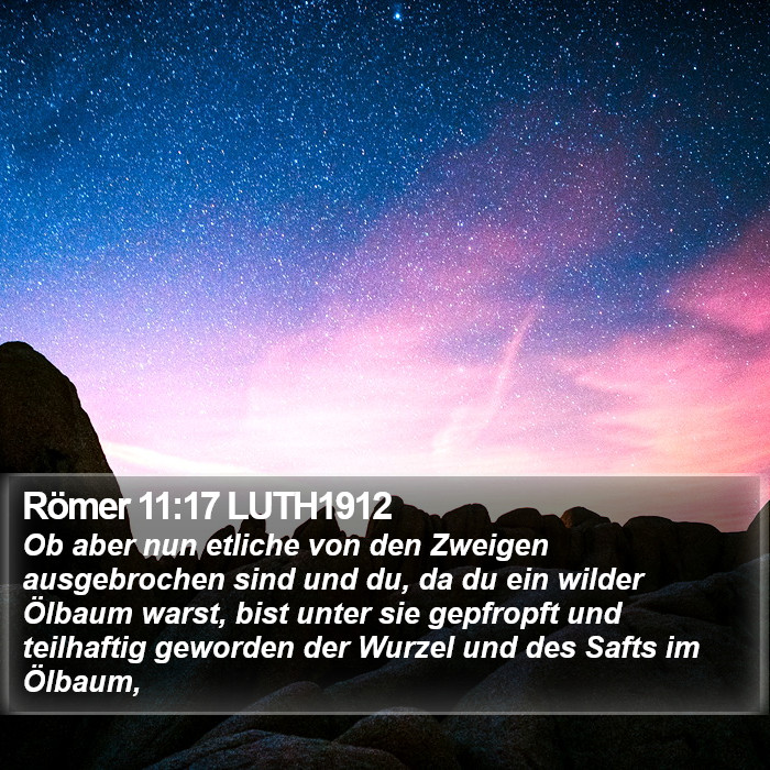 Römer 11:17 LUTH1912 Bible Study