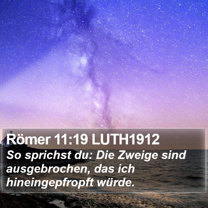 Römer 11:19 LUTH1912 Bible Study