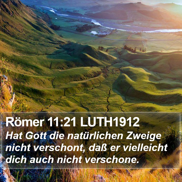 Römer 11:21 LUTH1912 Bible Study