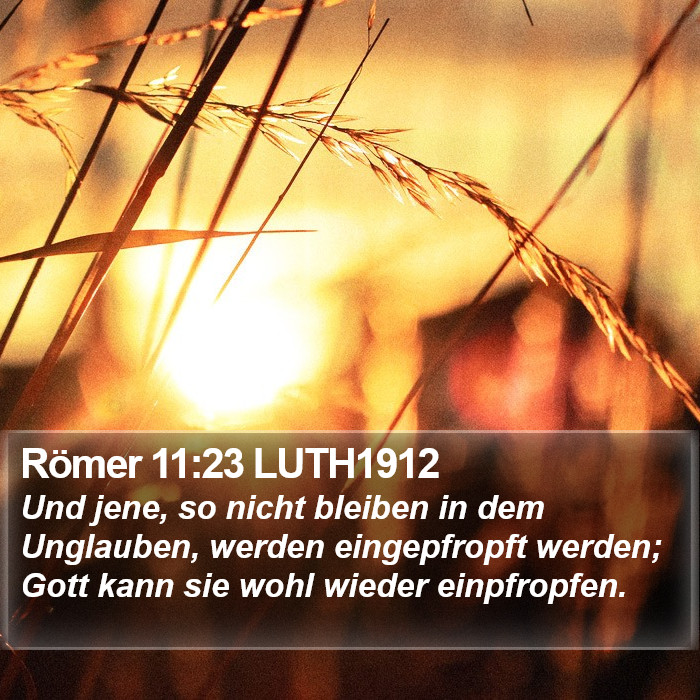 Römer 11:23 LUTH1912 Bible Study